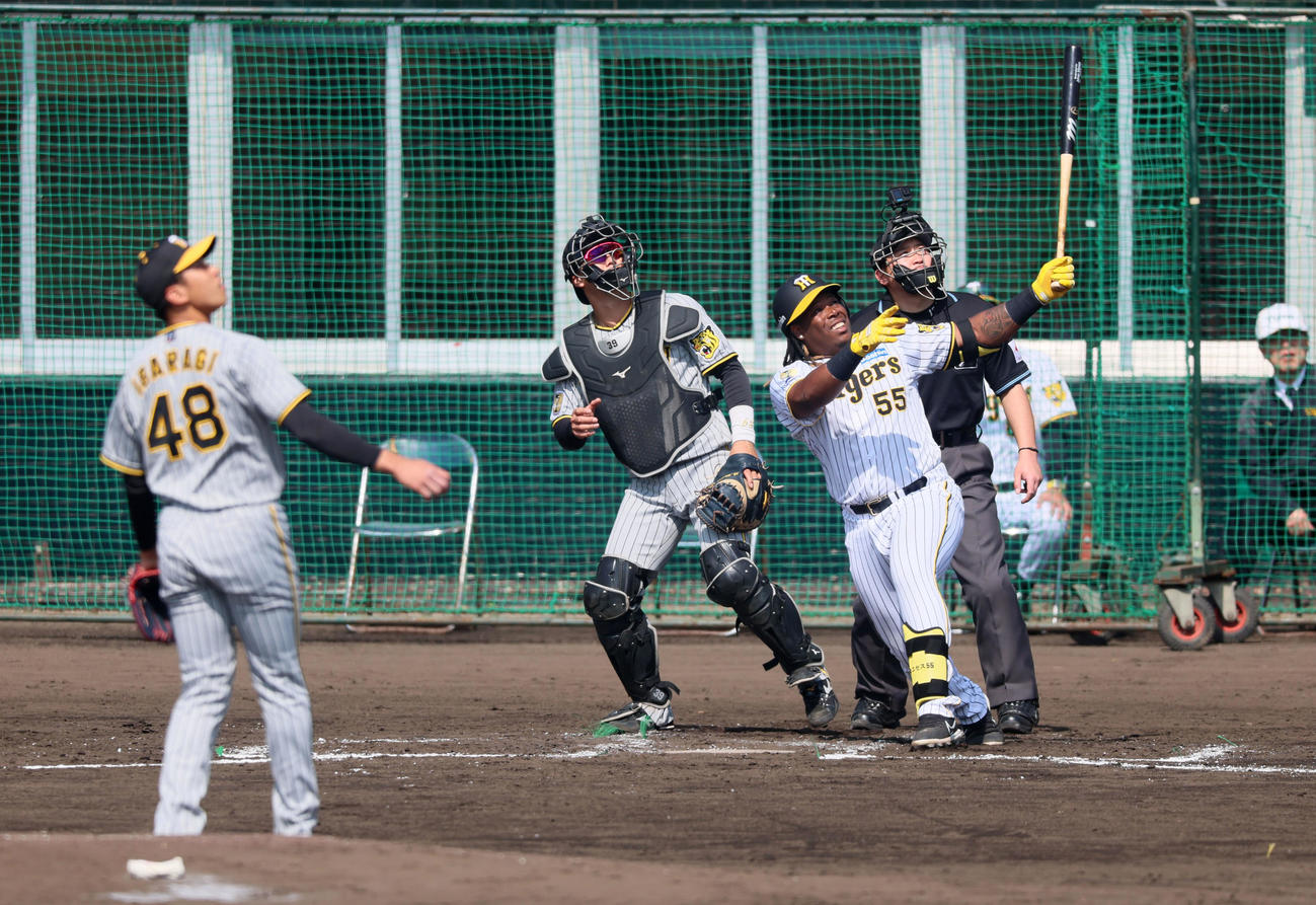 紅白戦　2回裏白組1死一塁、ミエセスは左越え2点本塁打を放つ。投手は茨木（撮影・加藤哉）