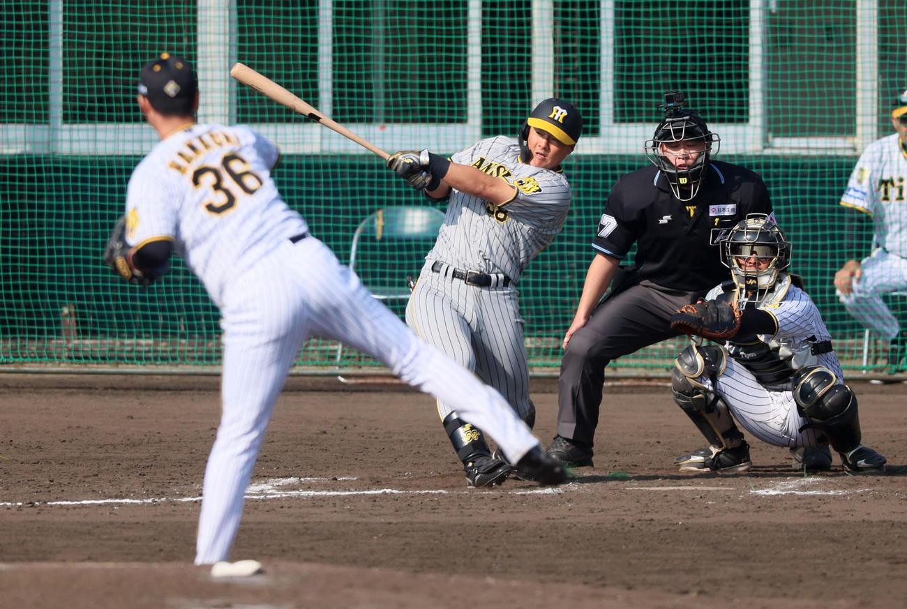 紅白戦　8回表紅組2死、前川は右前打を放つ。投手は浜地（撮影・加藤哉）