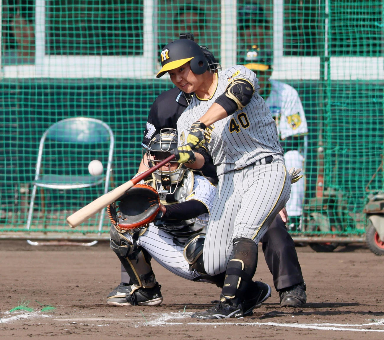 紅白戦　6回表紅組1死一、三塁、井坪は中前適時打を放つ（撮影・加藤哉）