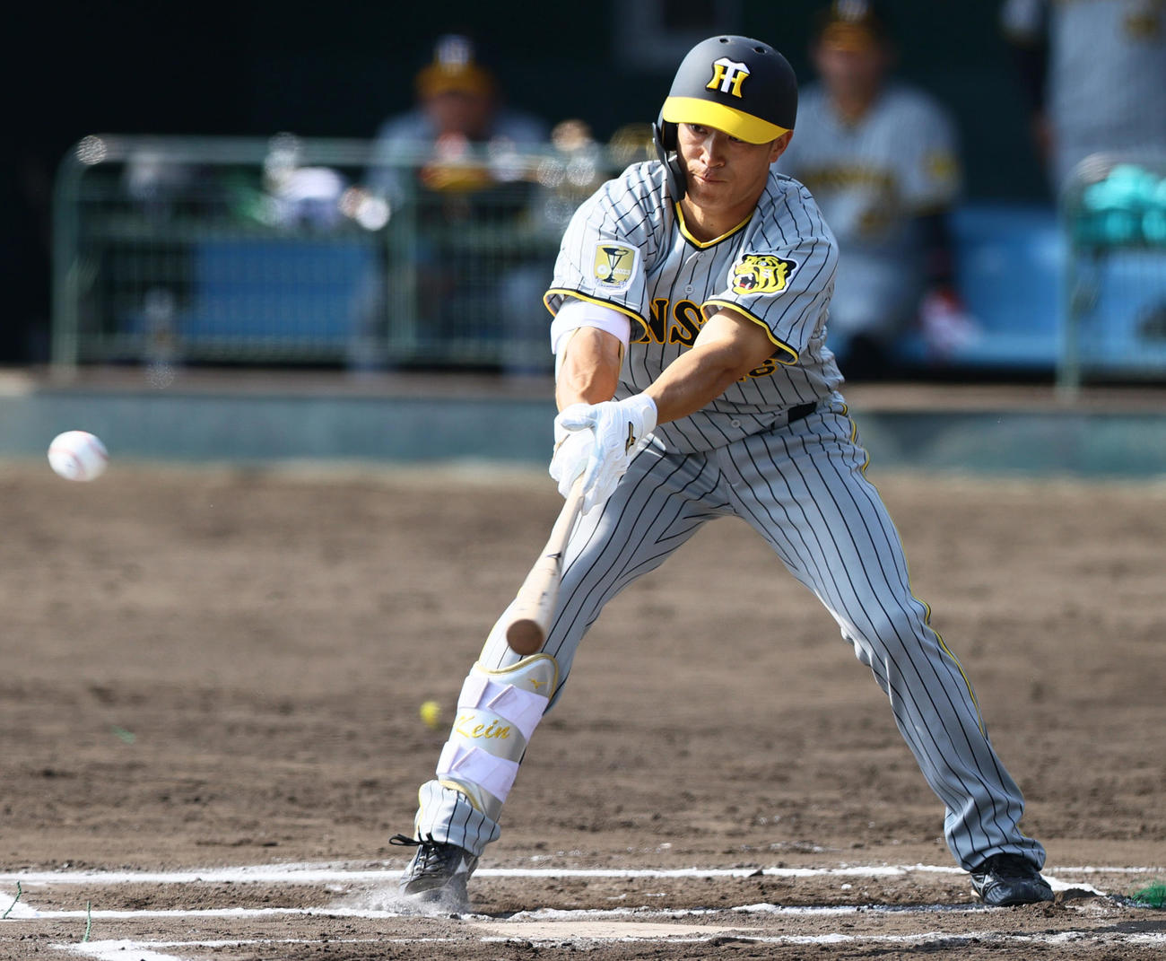 紅白戦　6回表紅組無死二、三塁、福島は遊撃適時内野安打を放つ（撮影・上山淳一）