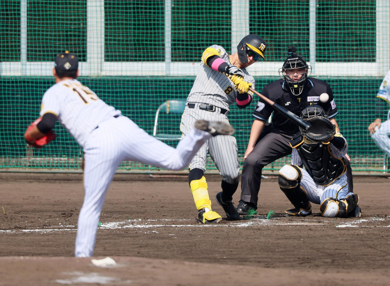 紅白戦　3回表紅組無死、佐藤輝は左前打を放つ。投手は西純（撮影・加藤哉）