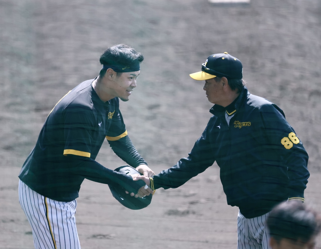 阪神春季キャンプ　紅白戦のため宜野座に到着した和田2軍監督（右）と握手を交わす佐藤輝（撮影・藤尾明華）