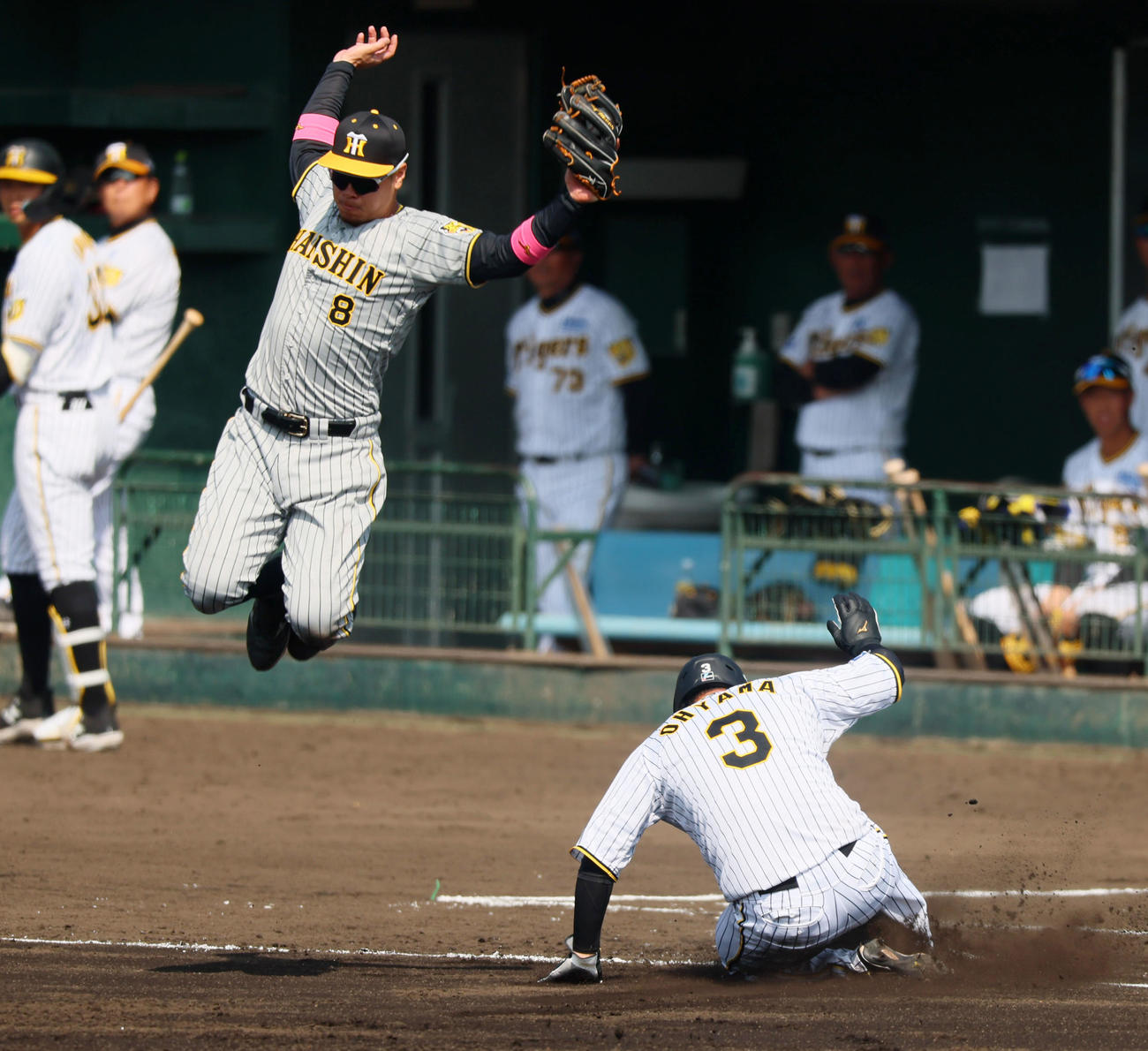 紅白戦　1回裏白組1死一塁、佐藤輝は小野寺の右前打で前川からの返球をジャンプして捕球する。右は一塁走者大山（撮影・加藤哉）