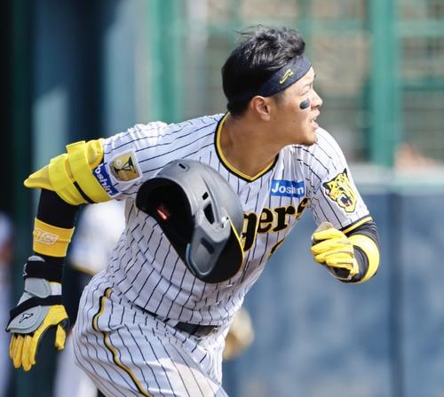 阪神春季キャンプ紅白戦　3回裏白組無死、佐藤輝はヘルメットを飛ばし、中前打を放つ（撮影・藤尾明華）