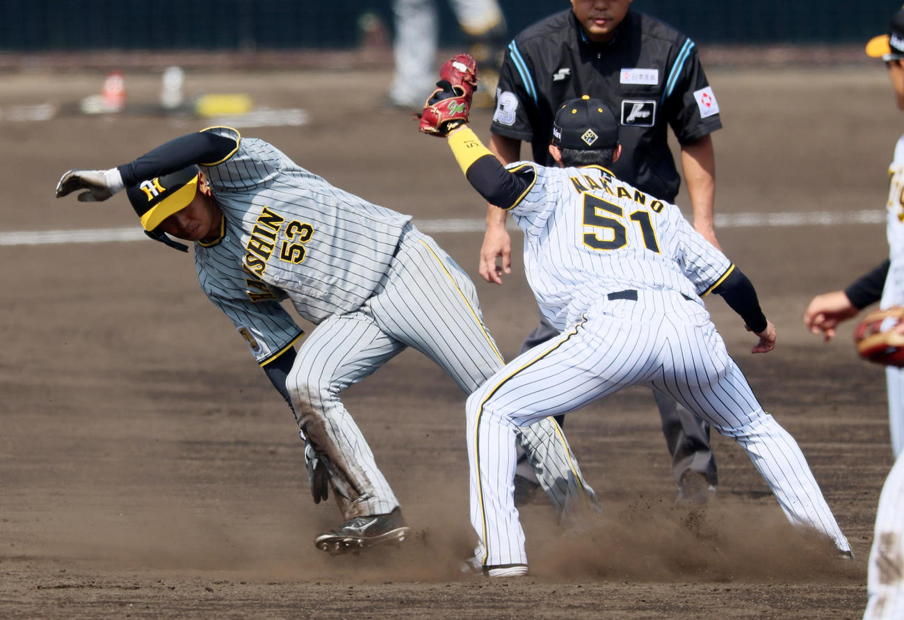 紅白戦　3回表紅組無死一塁、代走の一塁走者島田は二塁盗塁失敗。野手は中野（撮影・加藤哉）