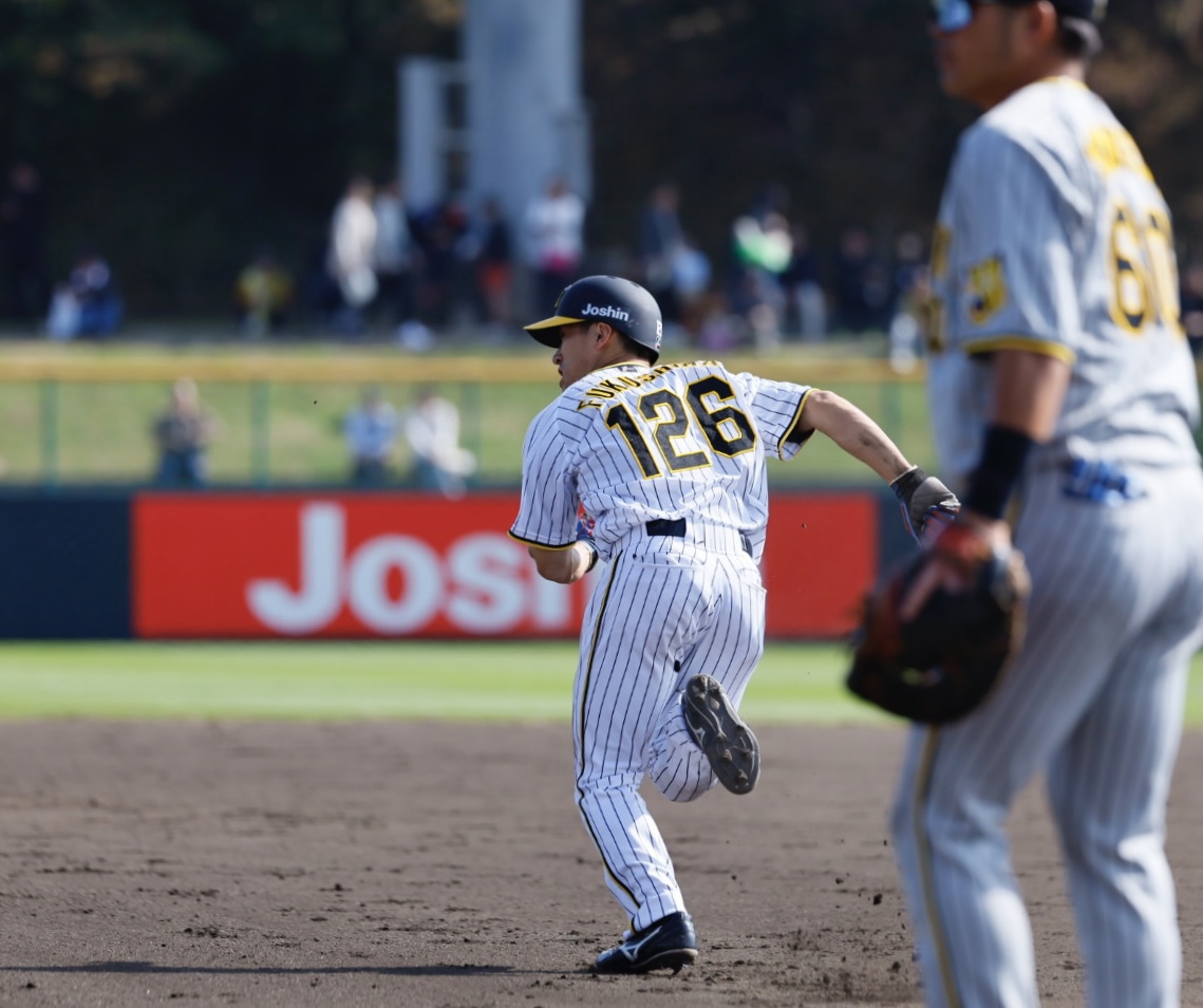 阪神春季キャンプ紅白戦　7回裏白組無死一塁、二盗を決める代走福島（撮影・藤尾明華）