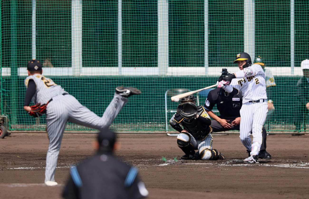 紅白戦　2回裏白組無死、梅野は三ゴロに終わる。投手は秋山（撮影・加藤哉）