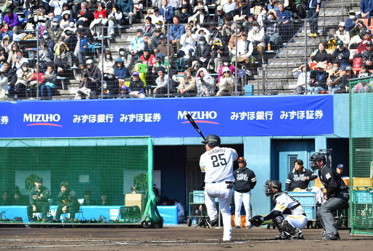シート打撃で、多くのファンが見守る前で打席に入るソフトバンク山川（撮影・岩下翔太）