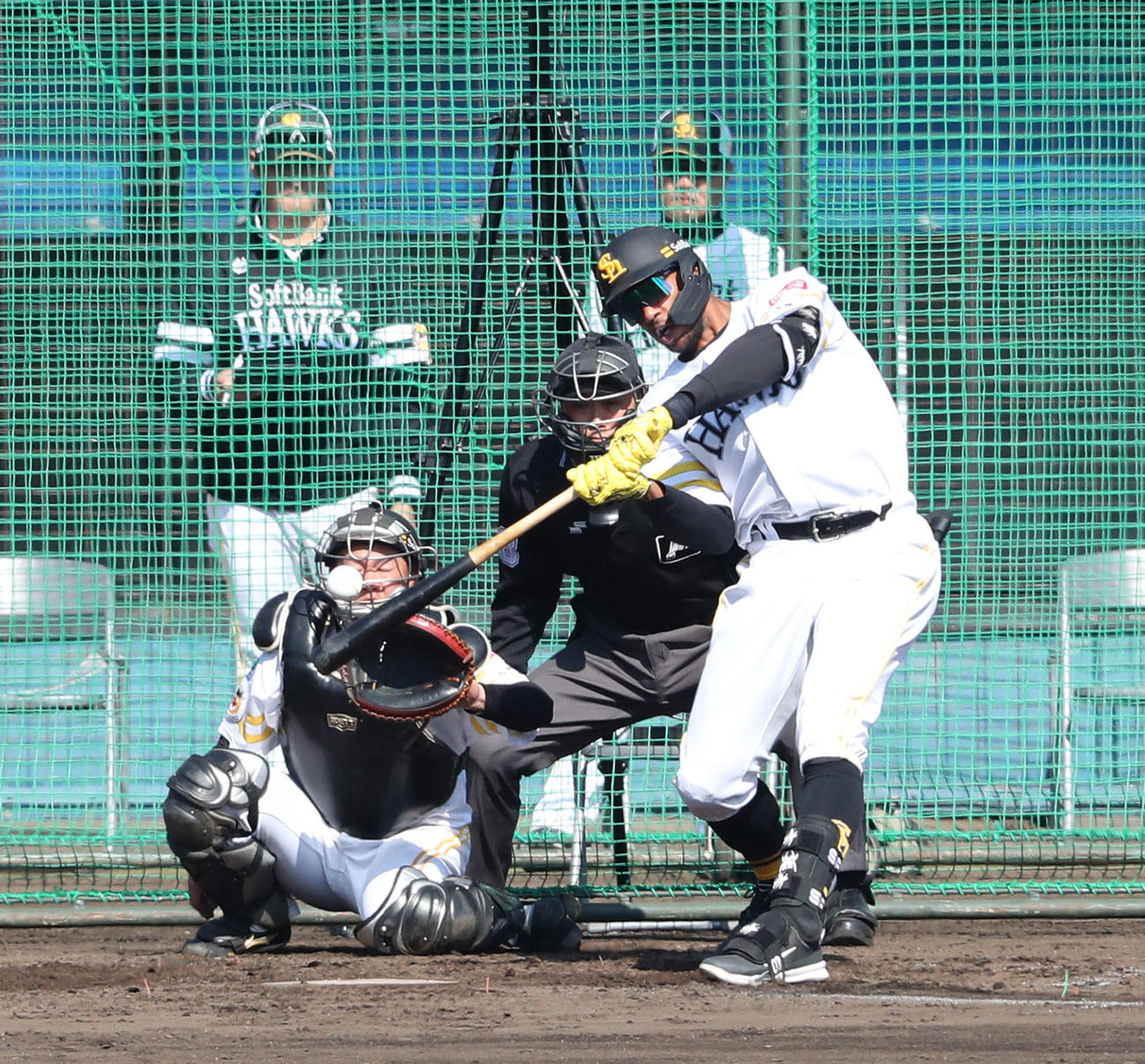 シート打撃で左前安打を放つウォーカー（撮影・梅根麻紀）