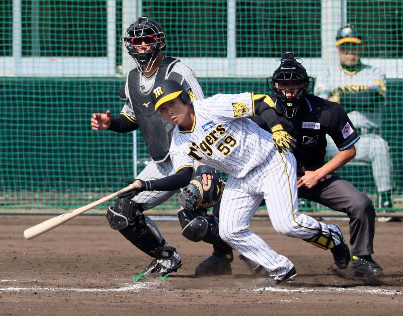 紅白戦　6回裏白組2死一塁、藤田は中前打を放つ（撮影・加藤哉）