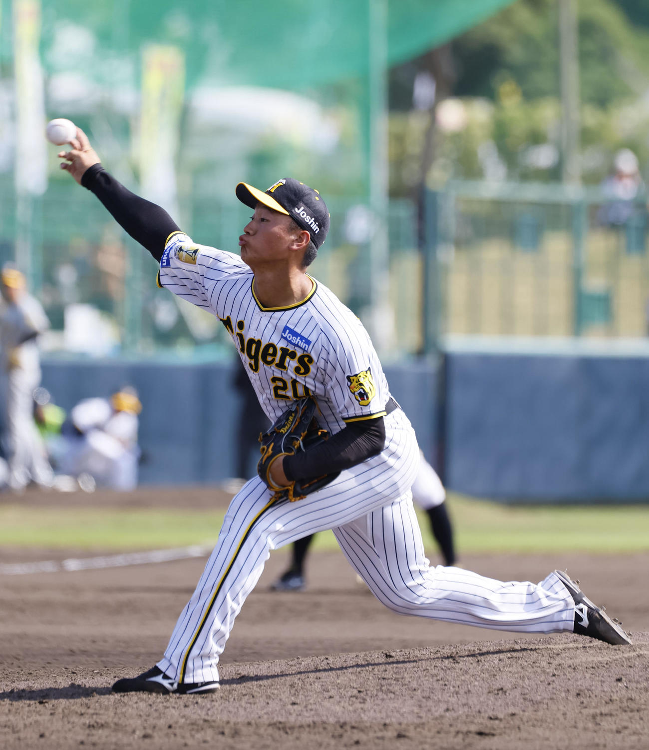 紅白戦　6回、5番手で登板した白組森木（撮影・藤尾明華