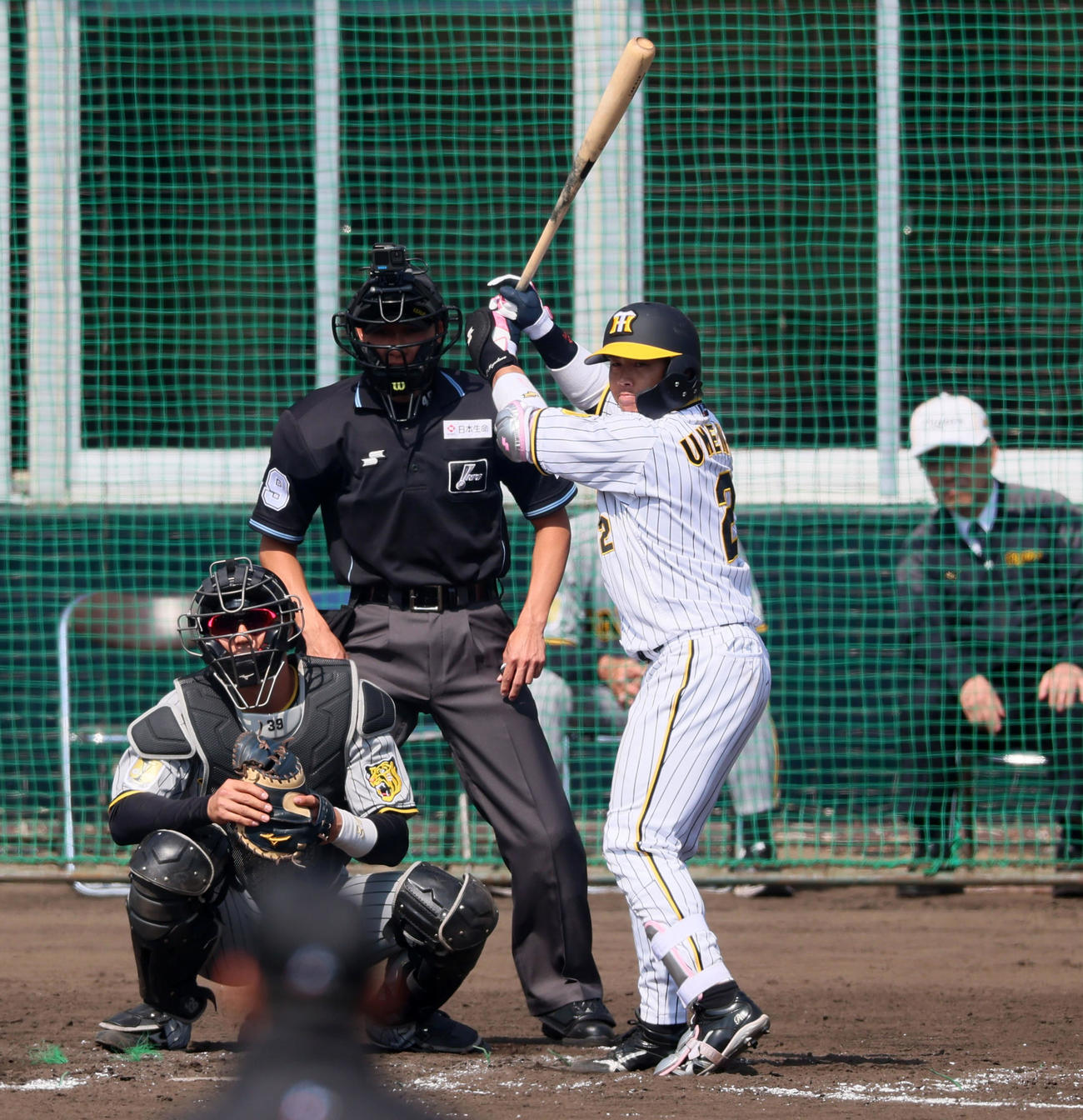 紅白戦　4回裏白組1死、梅野の打撃フォーム（撮影・加藤哉）