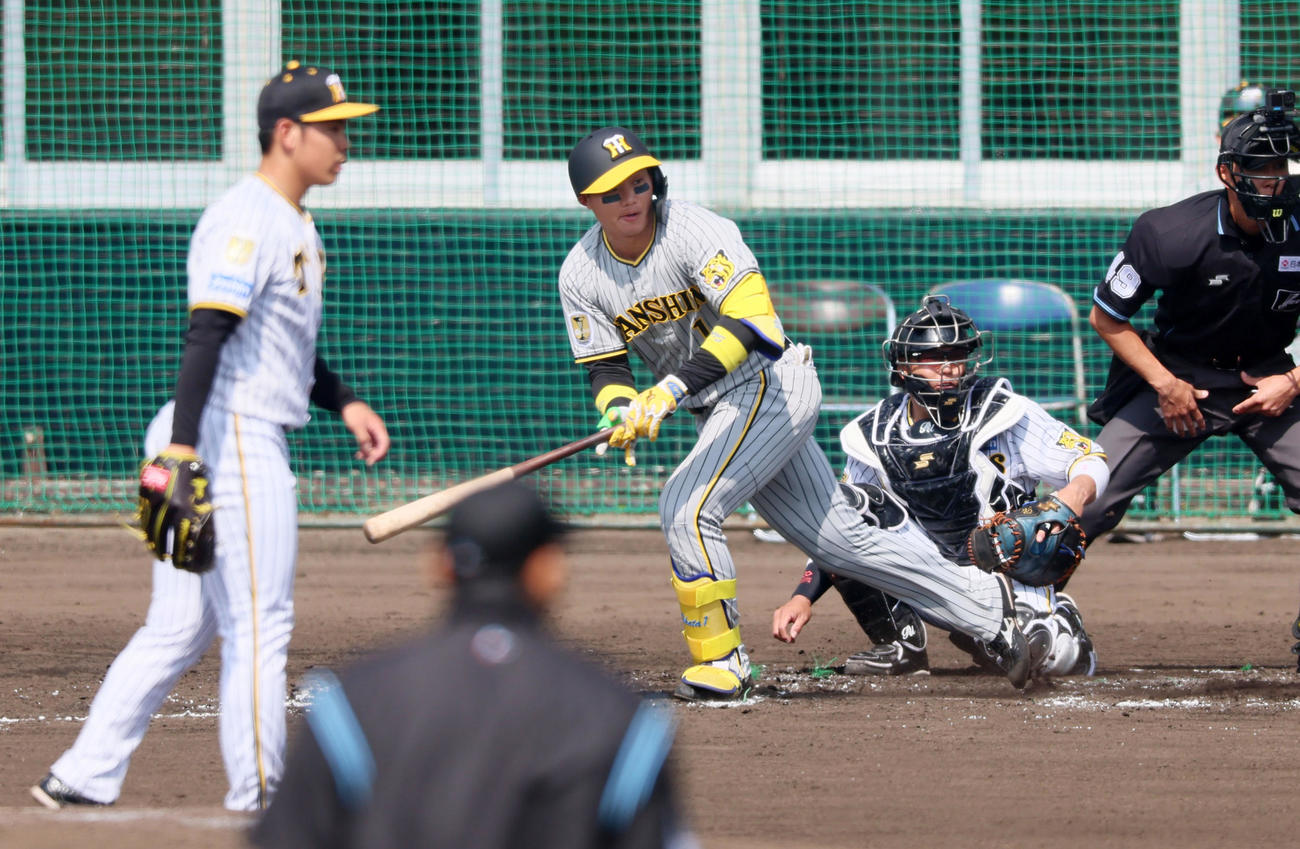 紅白戦　3回裏白組1死、森下は左へ二塁打を放つ。投手は鈴木（撮影・加藤哉）