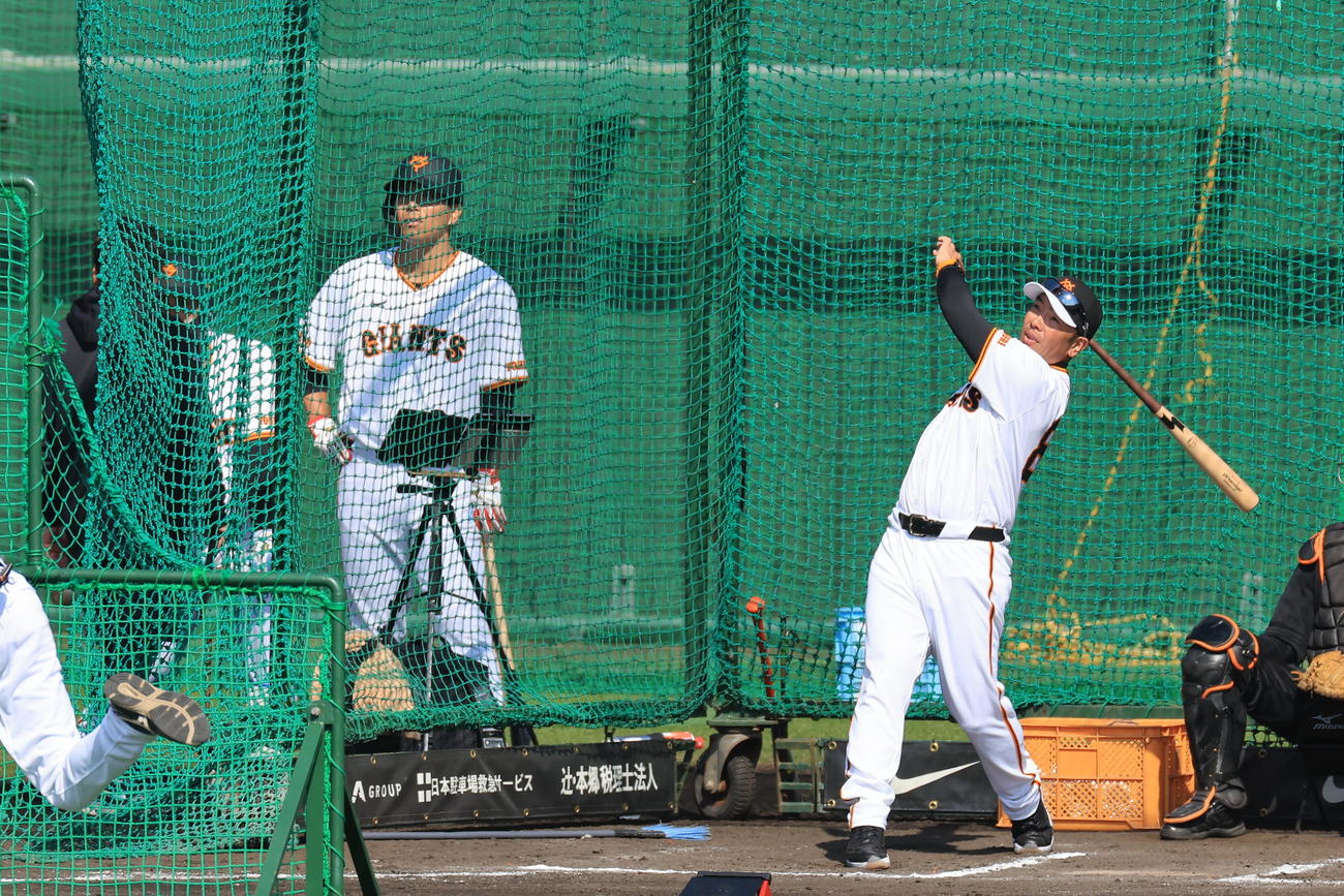 大城卓(後方)らが見つめる中、フリー打撃を披露する巨人阿部監督(撮影・浅見桂子)