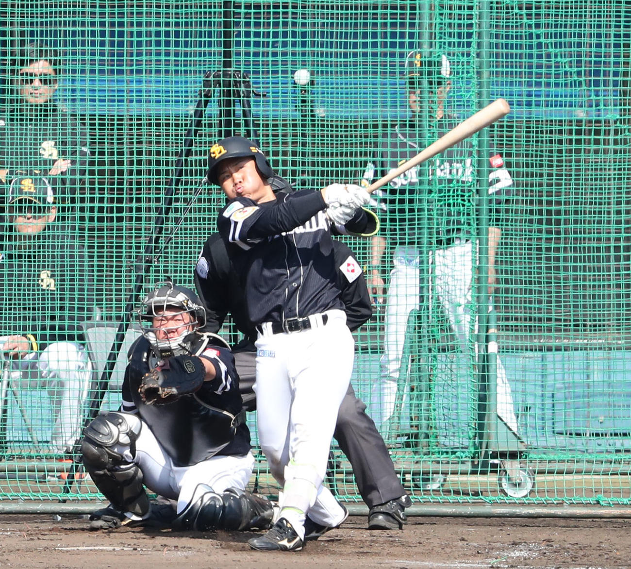 シート打撃で左越え本塁打を放つ海野（撮影・梅根麻紀）