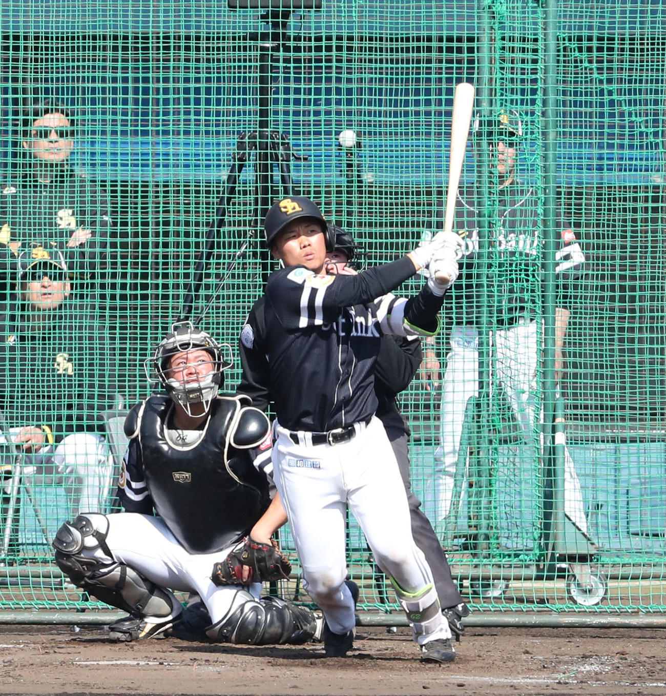 シート打撃で左越え本塁打を放つ海野（撮影・梅根麻紀）
