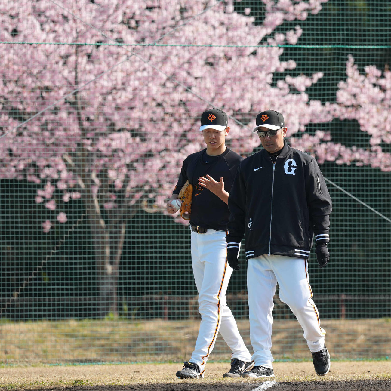 1軍に合流した巨人畠（左）は阿部監督から声をかけられる（撮影・鈴木みどり）