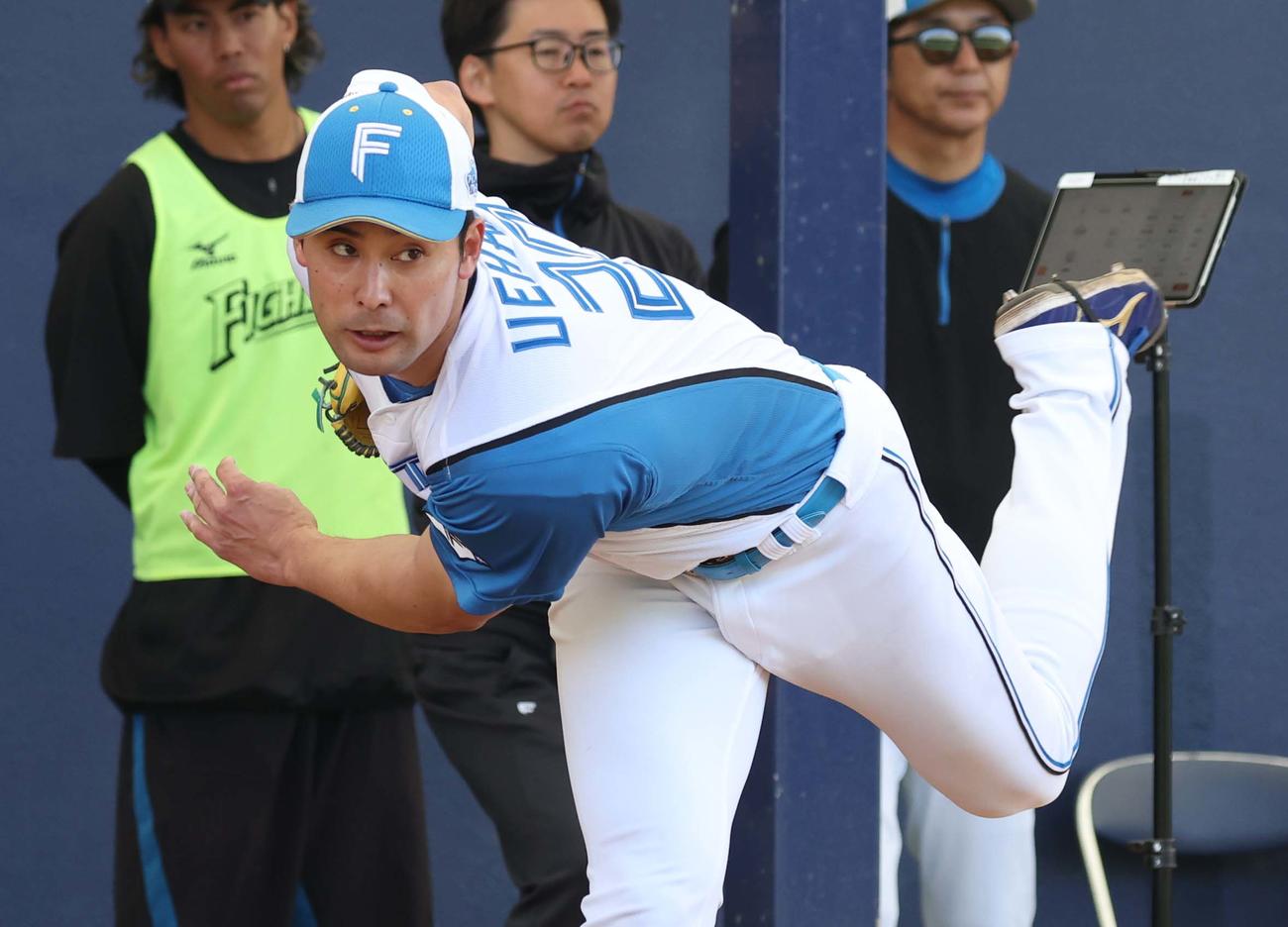 ブルペン投球する日本ハム上原（撮影・黒川智章）
