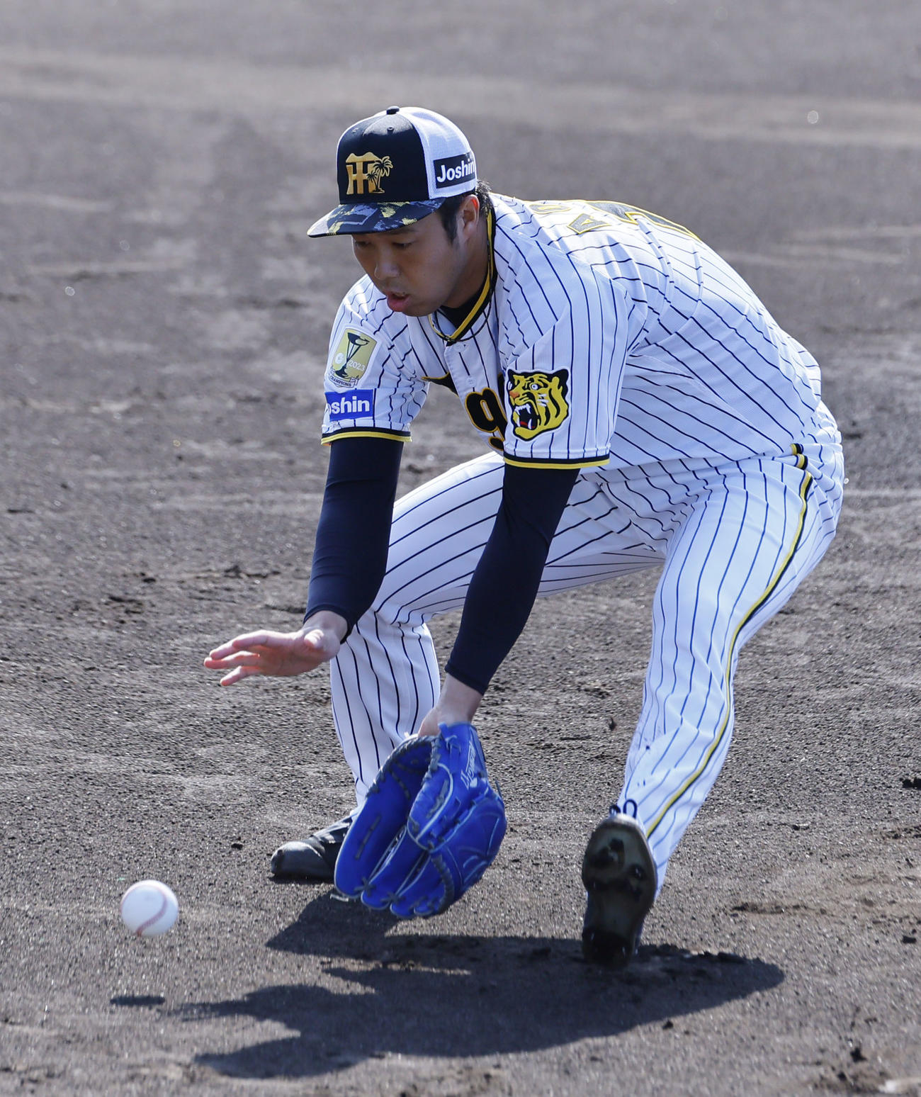 投内総合練習で捕球する青柳（撮影・藤尾明華）