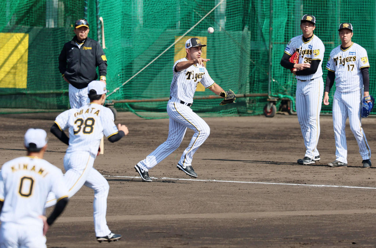 投内総合練習で三本間挟殺プレーに持ち込むゲラ。左は岡田監督（撮影・加藤哉）