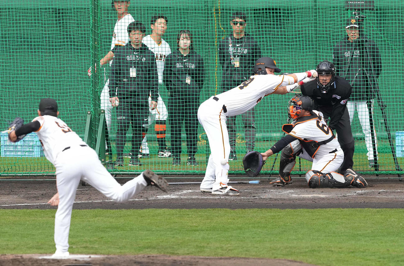 シート打撃で死球を受ける巨人大城卓。投手菊地（撮影・鈴木みどり）