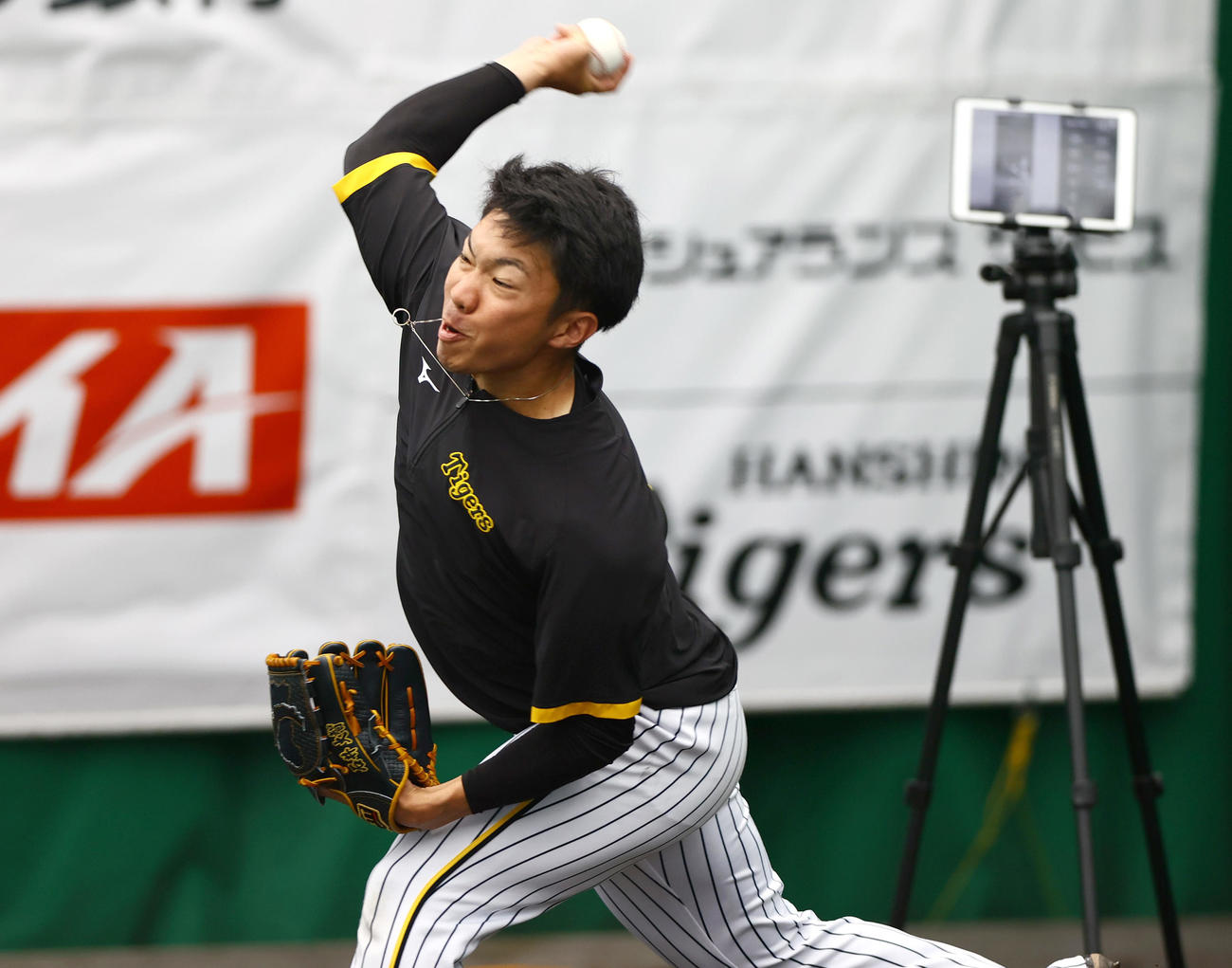 ブルペンで投げ込む阪神石井（撮影・上山淳一）