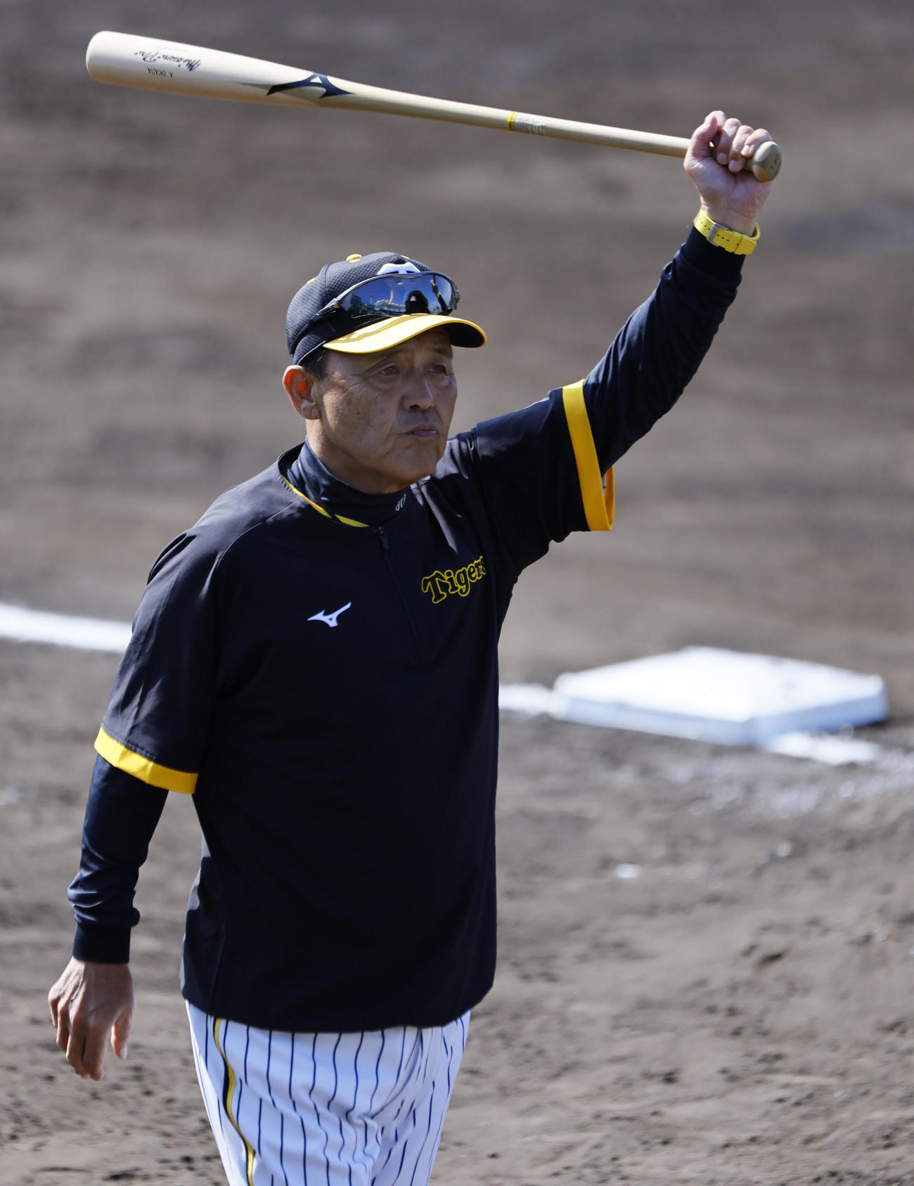 バットを手に練習を見つめる岡田監督（撮影・藤尾明華）