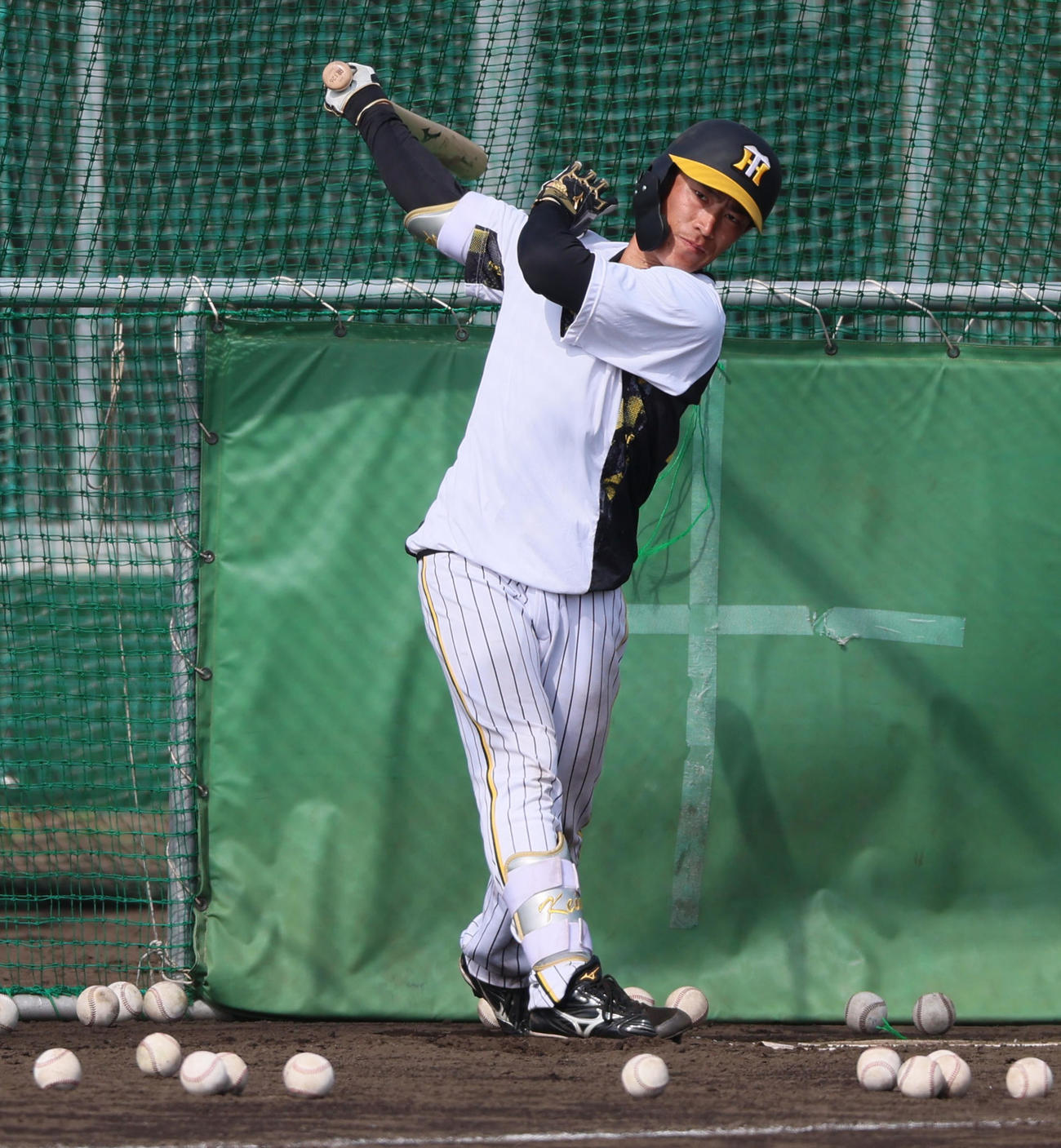 阪神福島圭音（2024年2月14日撮影）