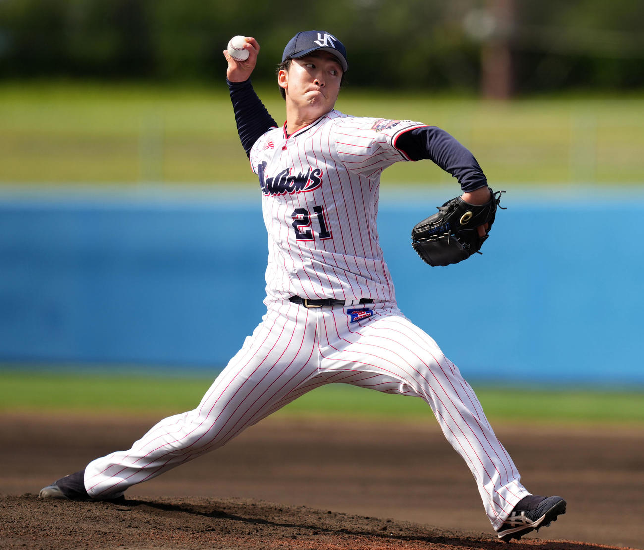 ヤクルト対ロッテ　力投するヤクルト先発の吉村（撮影・横山健太）