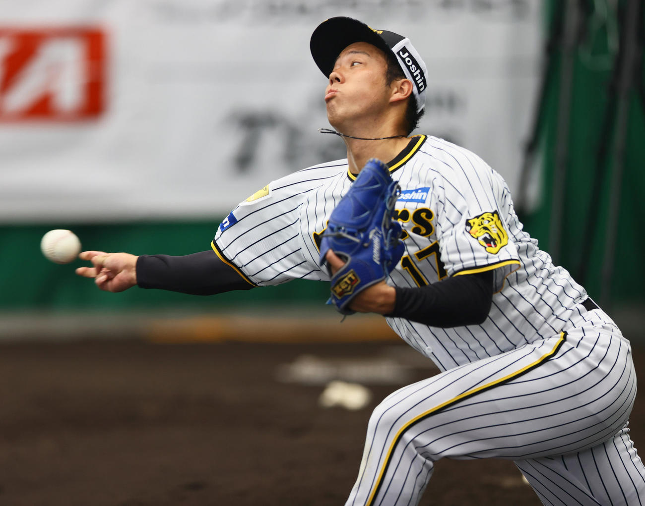 阪神青柳晃洋（2024年2月12日撮影）