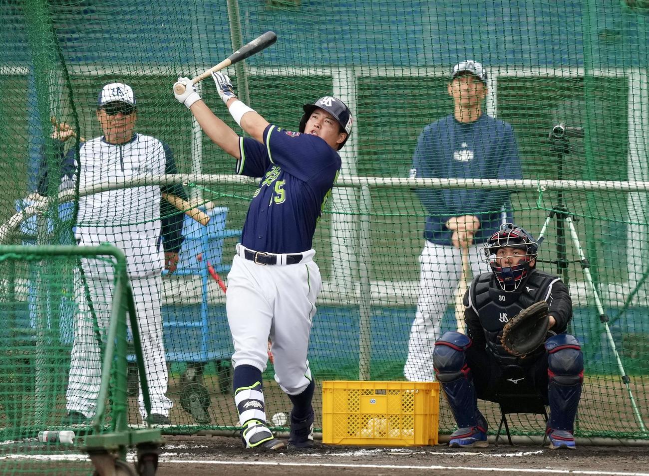 フリー打撃で快音を響かせるヤクルト村上（撮影・横山健太）