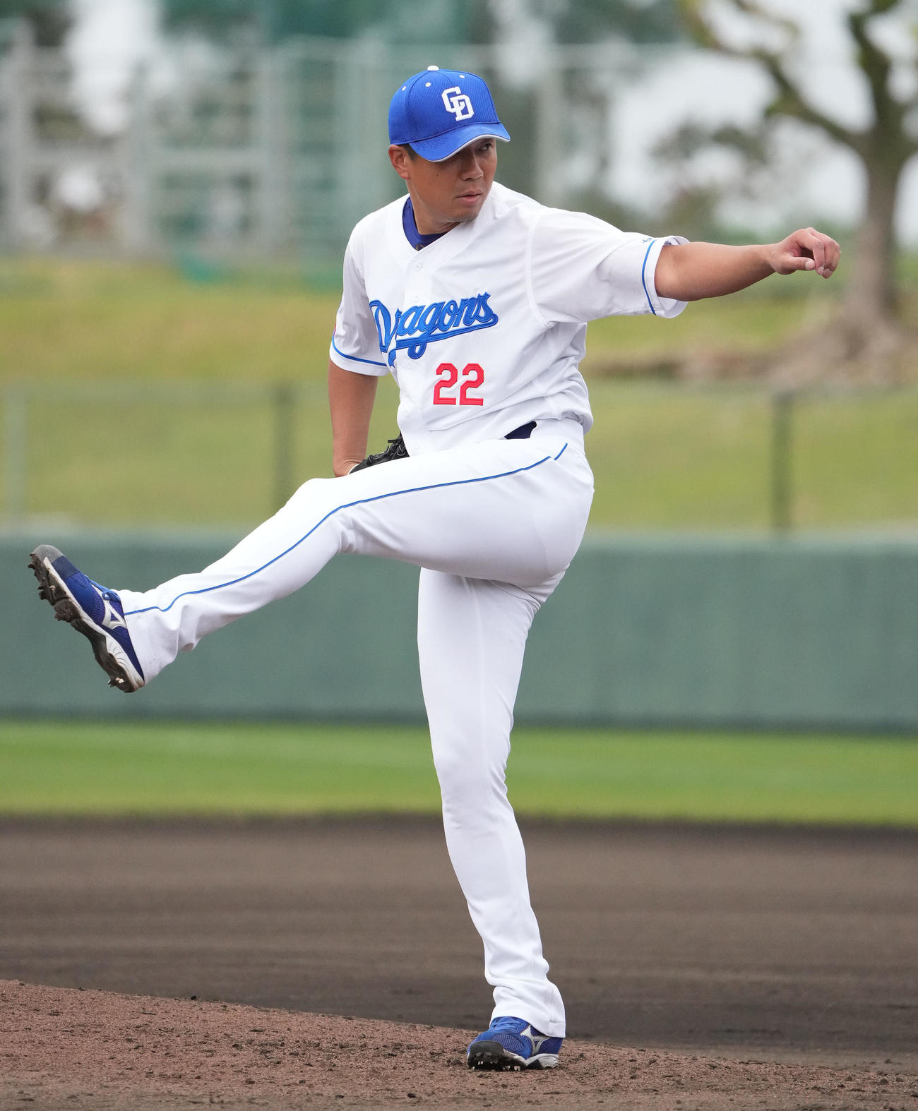 シート打撃練習に登板する大野雄（撮影・森本幸一）