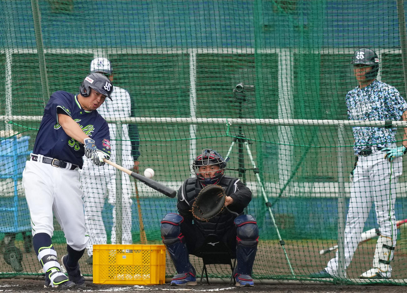 フリー打撃で快音を響かせるヤクルト村上。右は山田（撮影・横山健太）