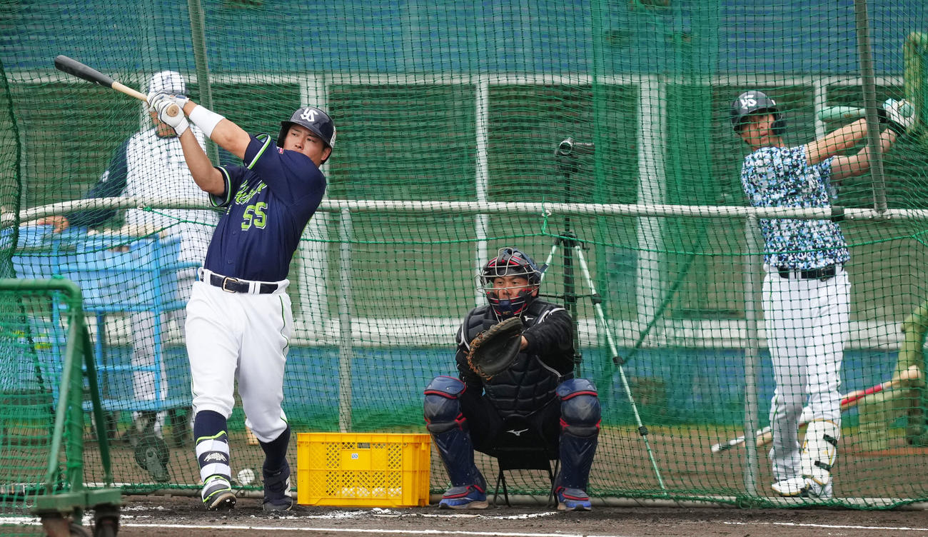 フリー打撃で快音を響かせるヤクルト村上。右は山田（撮影・横山健太）