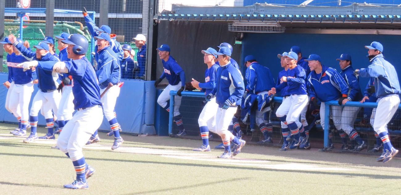 駒大対明治学院大のオープン戦でサヨナラ勝利し、喜びをあらわにする駒大ナイン（撮影・佐瀬百合子）