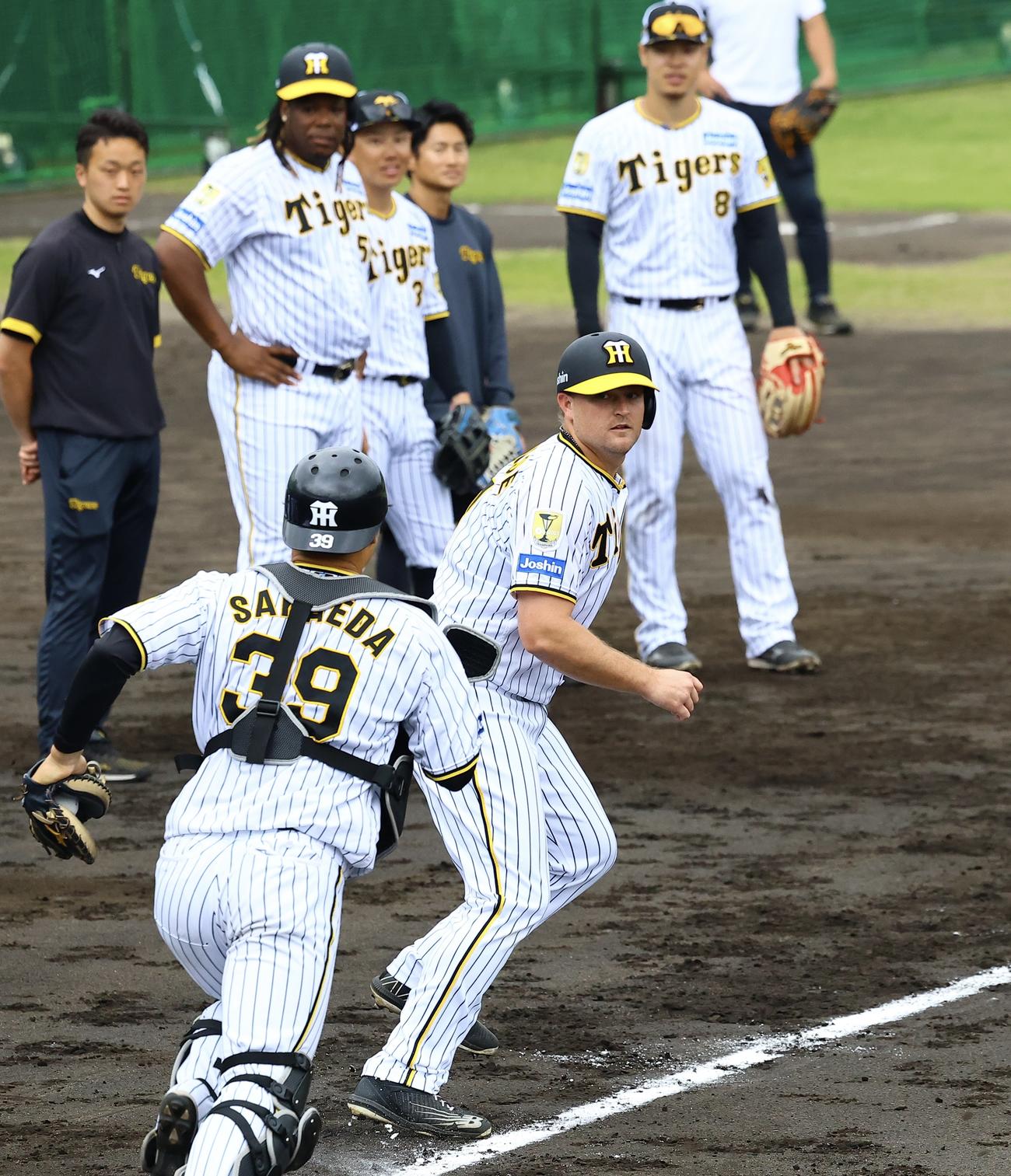 阪神春季キャンプ投内総合練習で走者を務めるノイジー（撮影・藤尾明華）