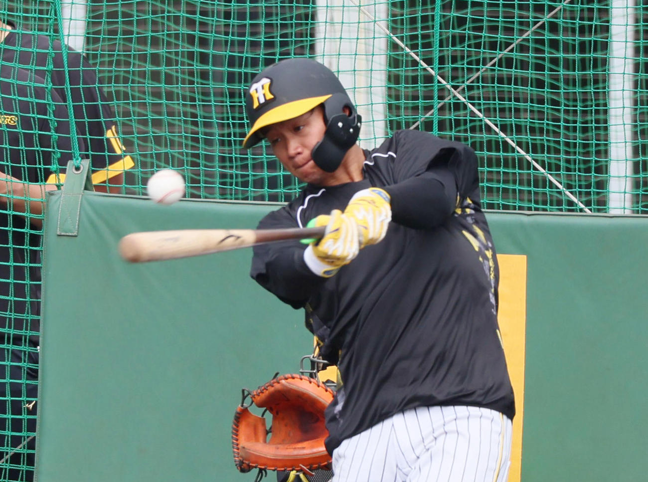 14日、打撃練習する阪神森下翔太