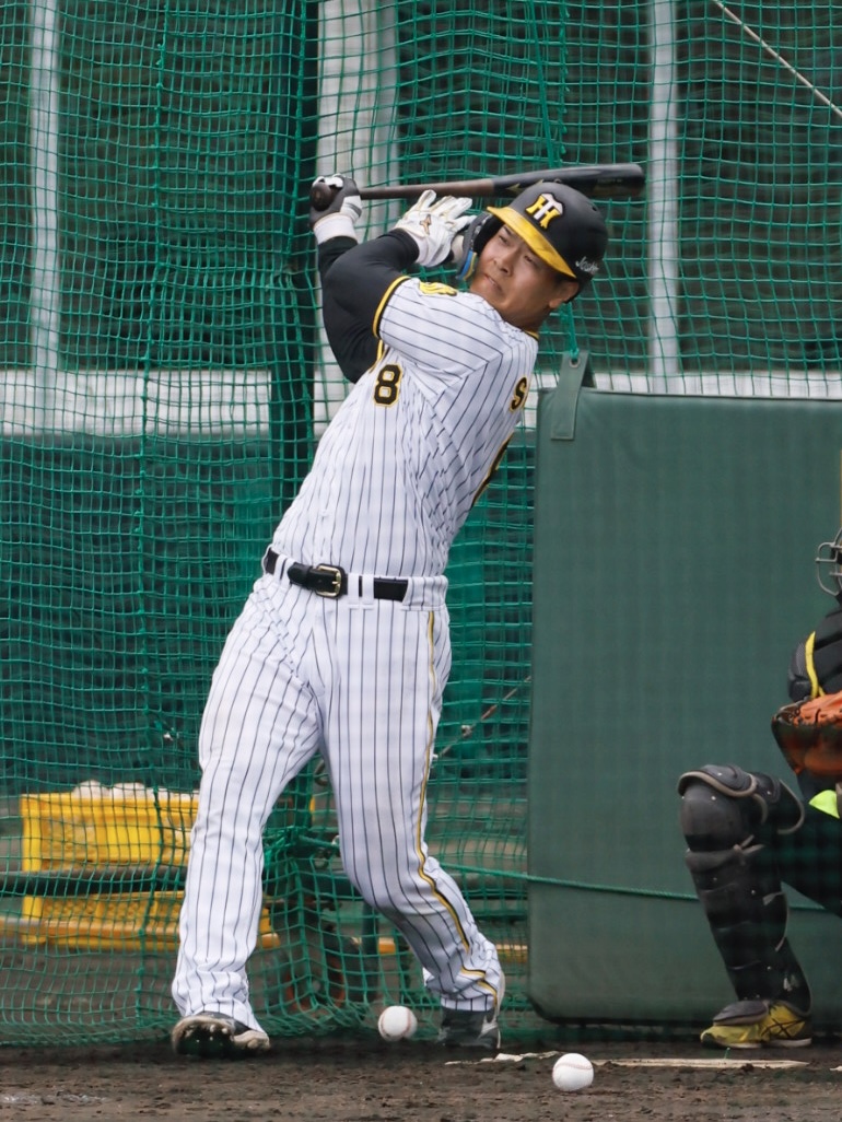 阪神春季キャンプランチ特打で快音を響かせる佐藤輝（撮影・藤尾明華）
