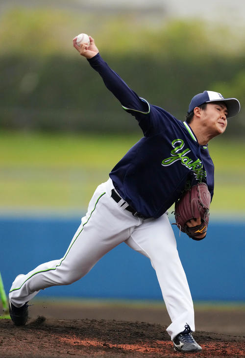 ライブBPで投球するヤクルト松本健（撮影・横山健太）