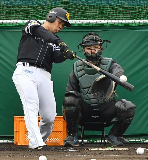 ランチ特打を行うソフトバンク近藤（撮影・岩下翔太）