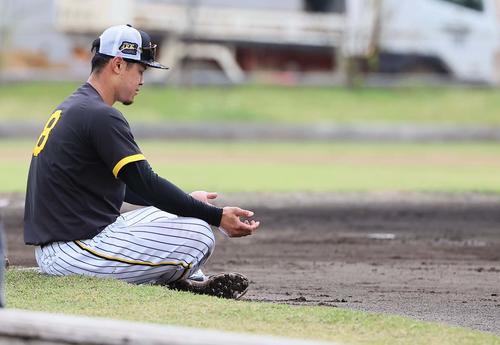 グラウンドで瞑想する阪神佐藤輝（撮影・上田博志）