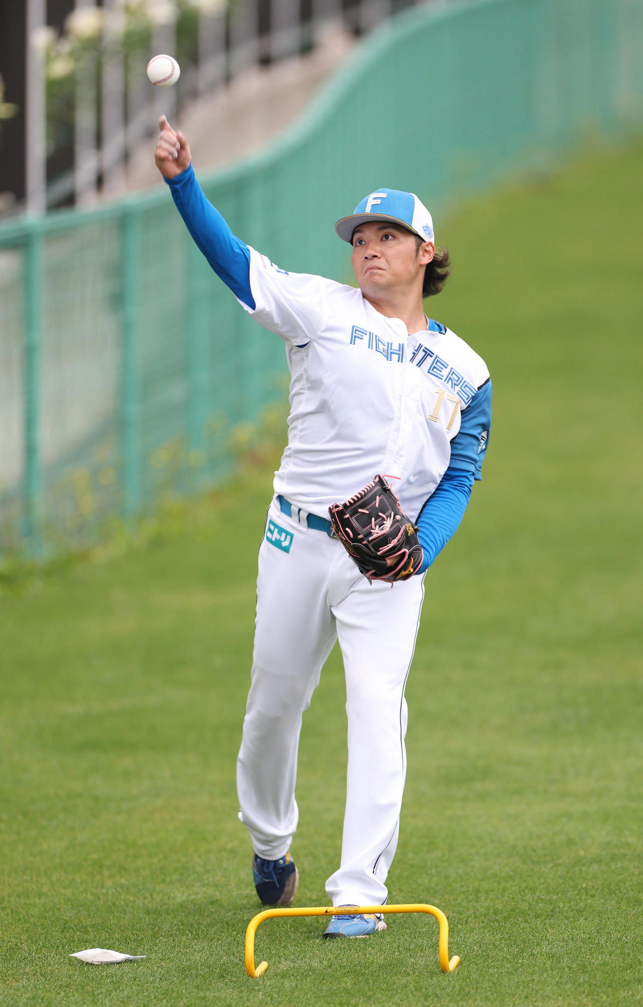 キャッチボールをする日本ハム伊藤（撮影・佐藤翔太）