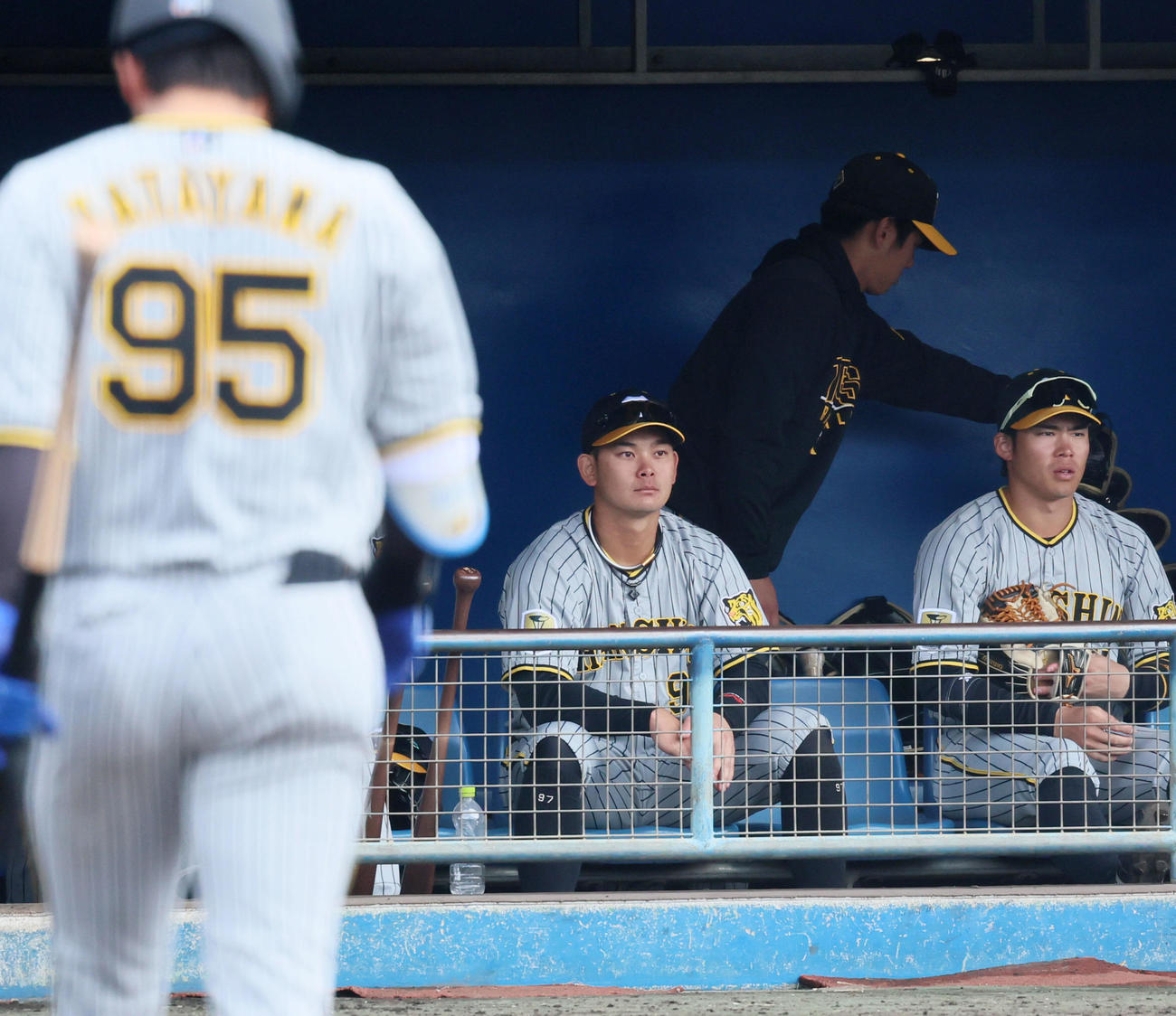 中日対阪神（練習試合）　9回表、自軍の攻撃をベンチから見る野口。右は遠藤（撮影・加藤哉）