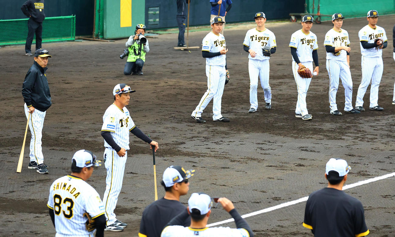 投内総合練習を見る岡田監督（左端）（撮影・藤尾明華）