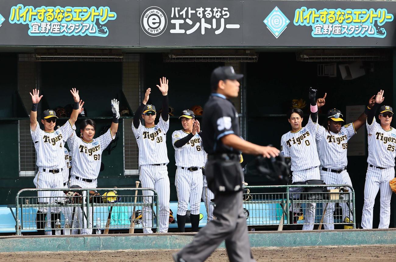 阪神対楽天　4回裏阪神1死一、二塁、佐藤輝の適時打で喜ぶ阪神ナイン（撮影・上田博志）