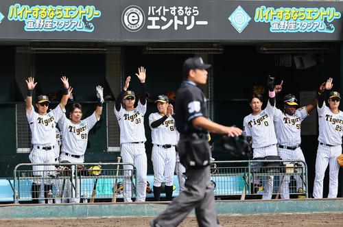 阪神対楽天　4回裏阪神1死一、二塁、佐藤輝の適時打で喜ぶ阪神ナイン（撮影・上田博志）