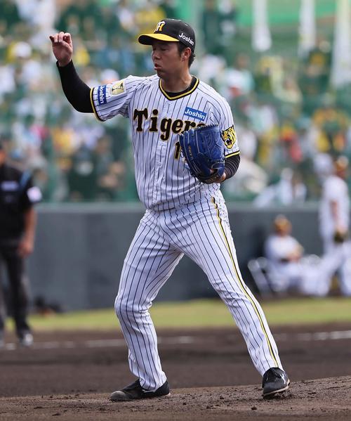 阪神先発の青柳（撮影・上田博志）