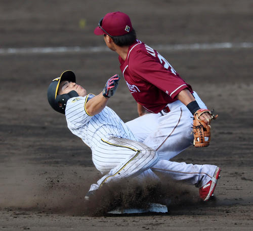 練習試合　阪神対楽天　7回裏阪神1死一塁、代走の一塁走者福島は二塁盗塁失敗。野手は黒川（撮影・加藤哉）