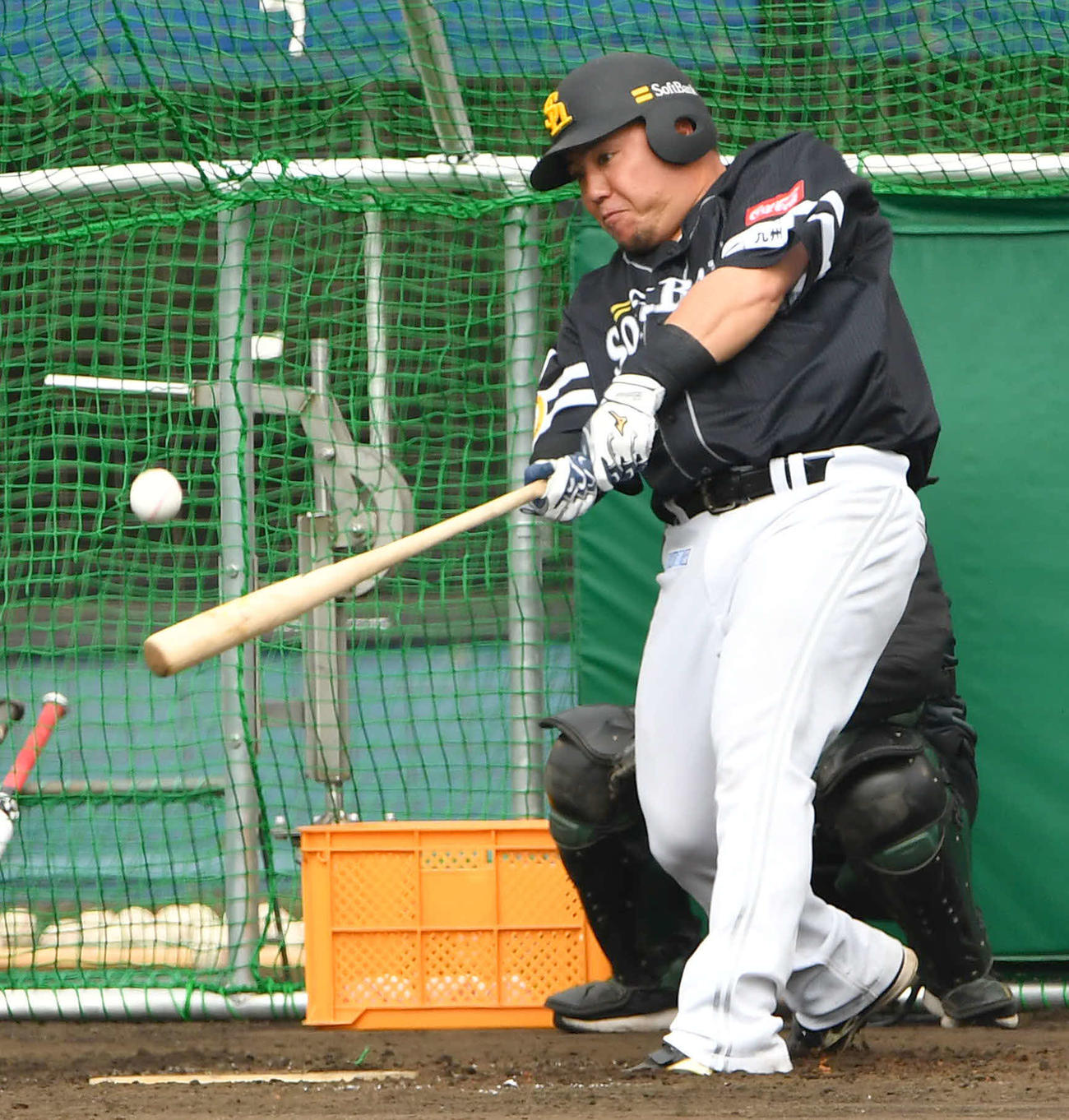 ソフトバンク山川（2月16日撮影・岩下翔太）