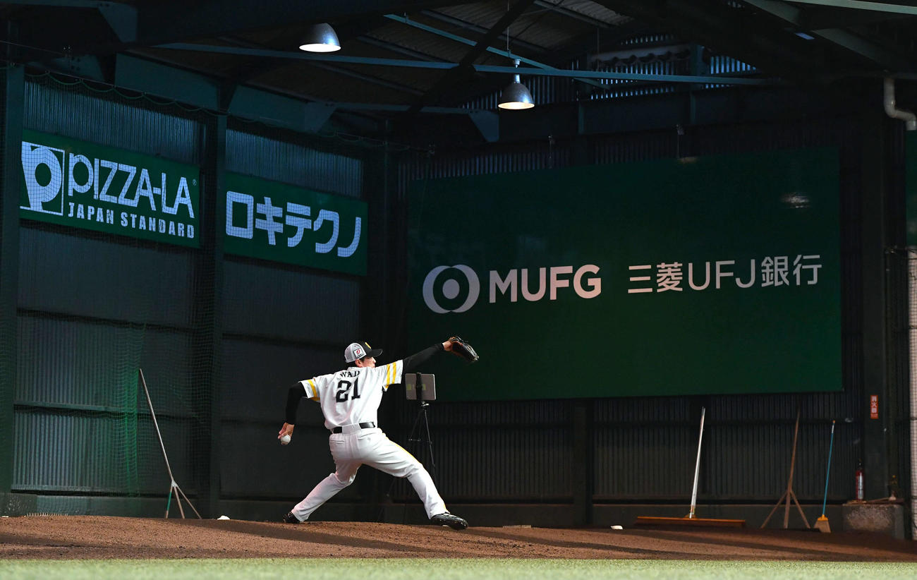 ブルペンで投げ込むソフトバンク和田（撮影・岩下翔太）